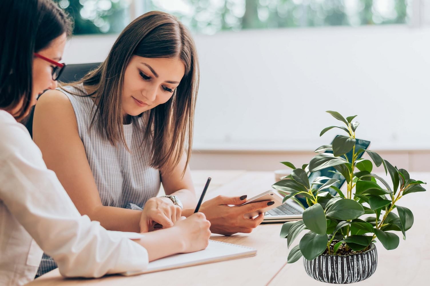 Artificial succulent plants in green potted decor by AlphaAcc, realistic indoor fake succulents for home or office decorations.