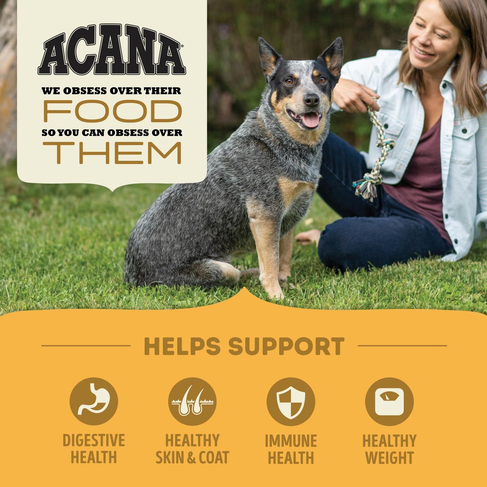 ACANA Grain Free Dry Dog Food with Free Run Poultry in a 13lb bag, featuring high-quality poultry ingredients and natural dog nutrition