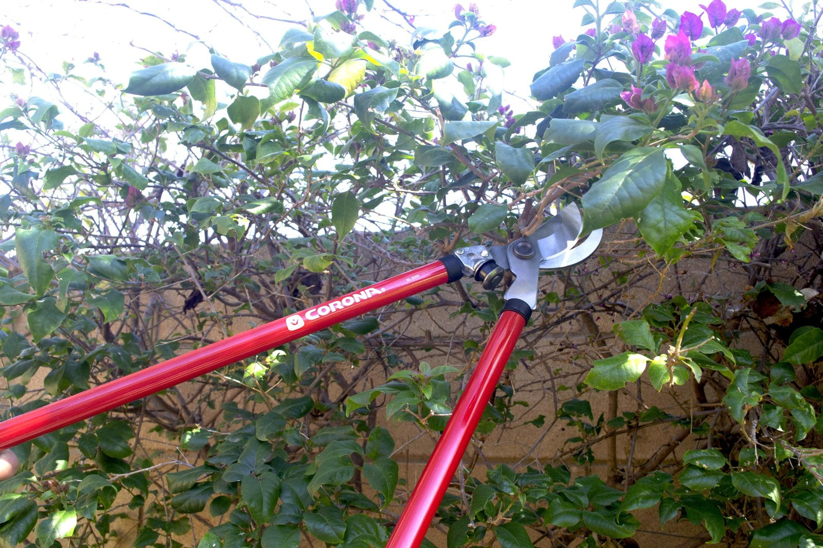 Corona SL 3310 Bypass Lopper with 24-inch steel handles and 1.5-inch cutting capacity, ideal for trimming branches.