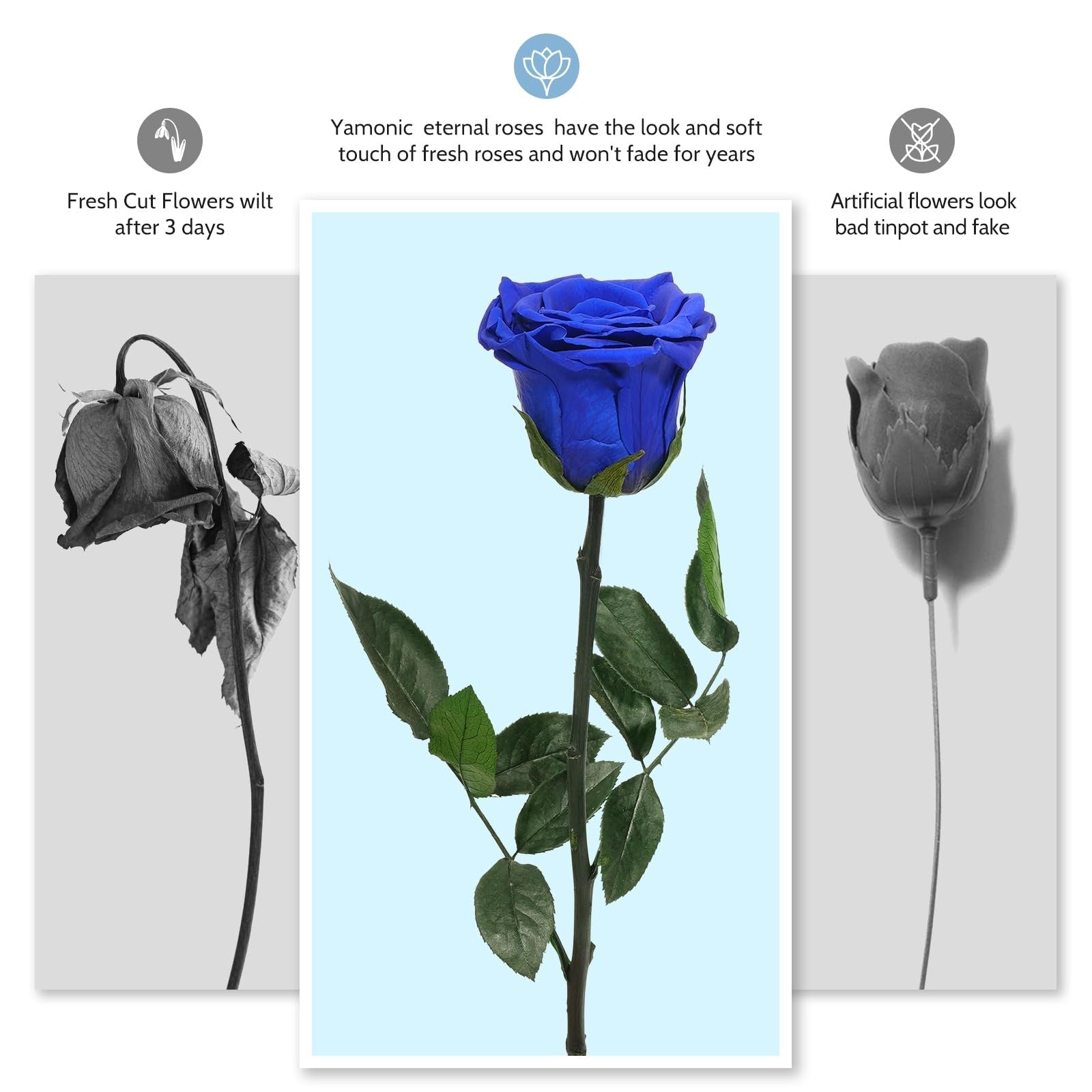 Yamonic preserved rose flowers gift set for mom and grandma, perfect for birthdays or special occasions, beautifully arranged.