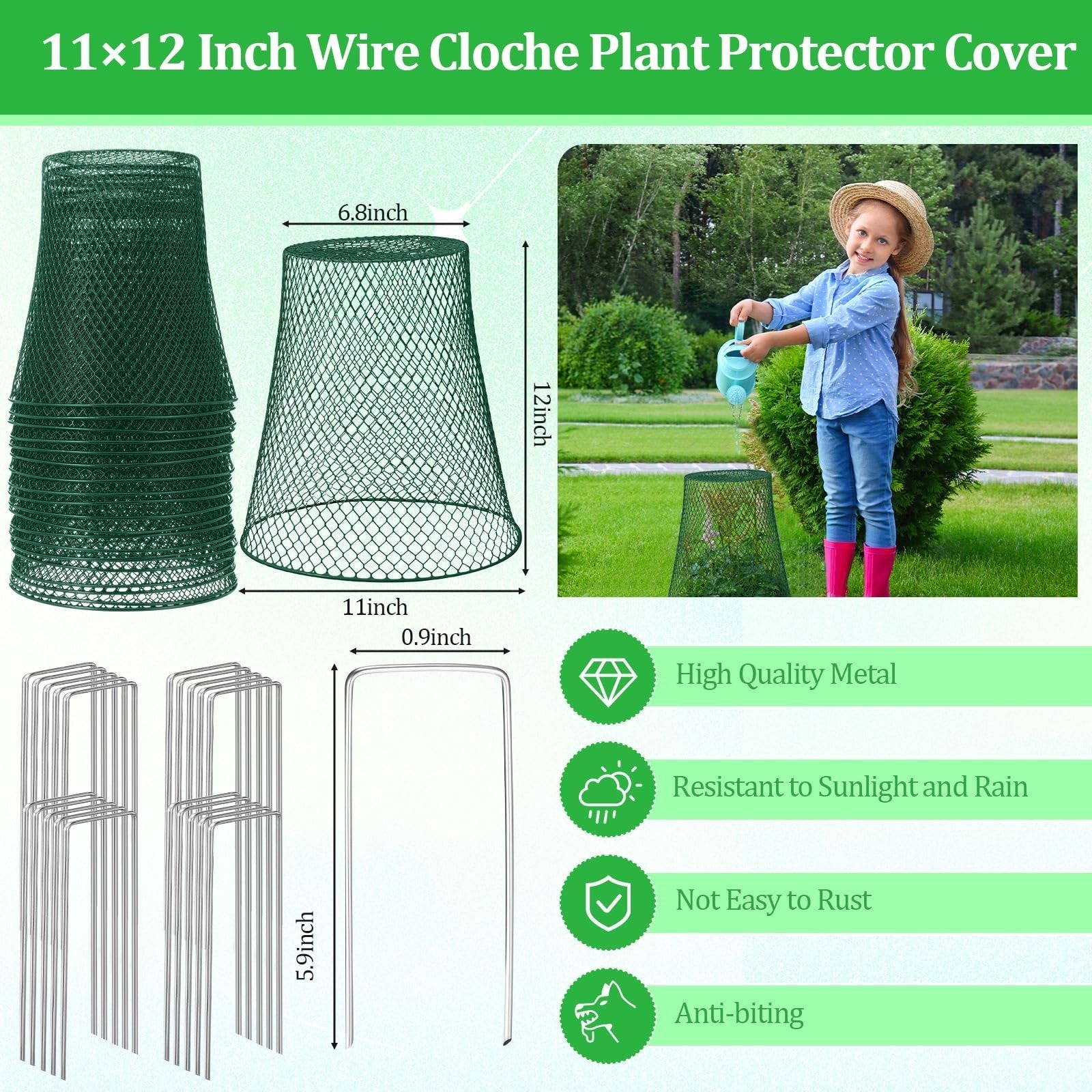 Large metal plant wire cloches, 11x12 inches, ideal for protecting garden plants, shown in a garden setting.