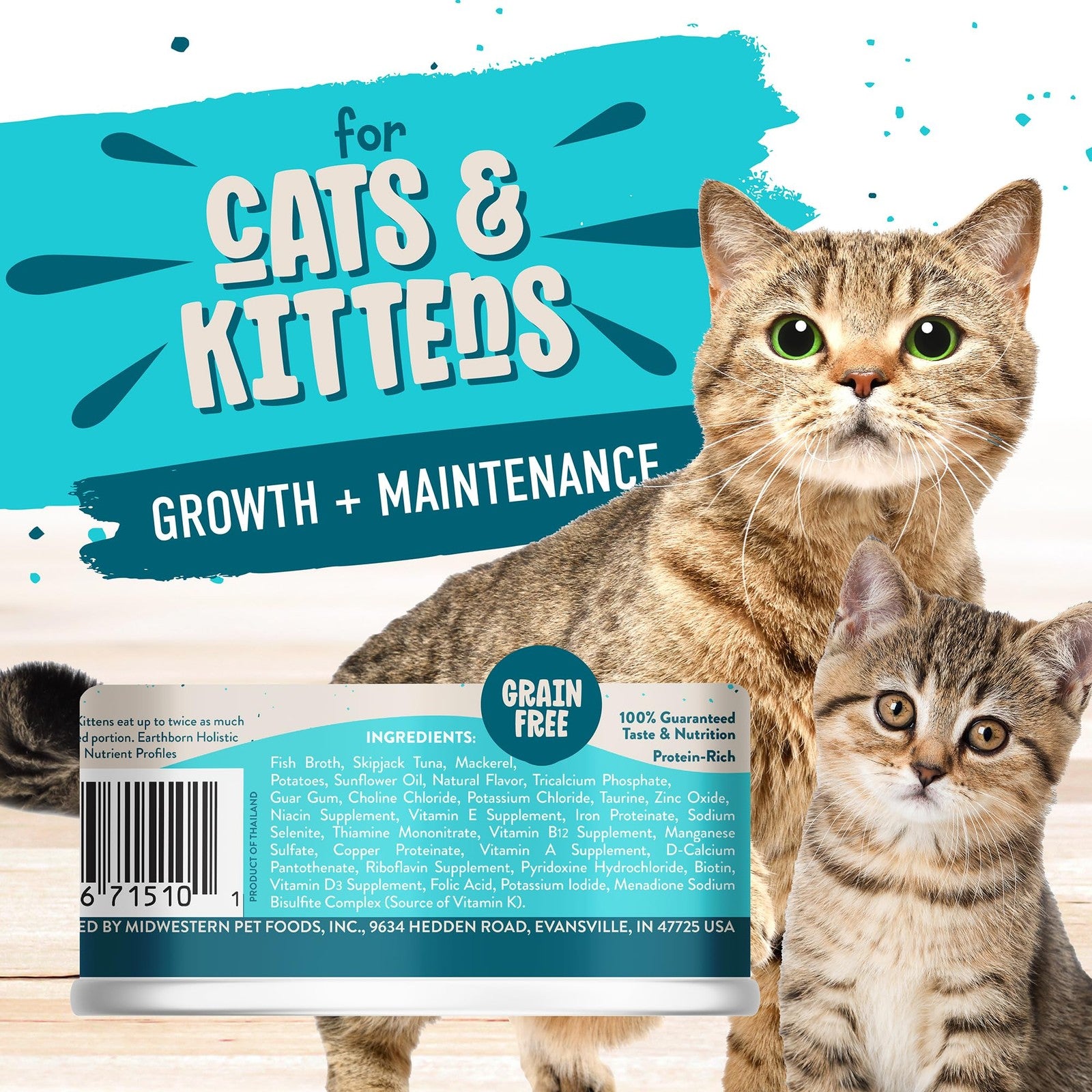 Earthborn Holistic Monterey Medley wet cat food featuring skipjack tuna and grilled mackerel in a serving bowl