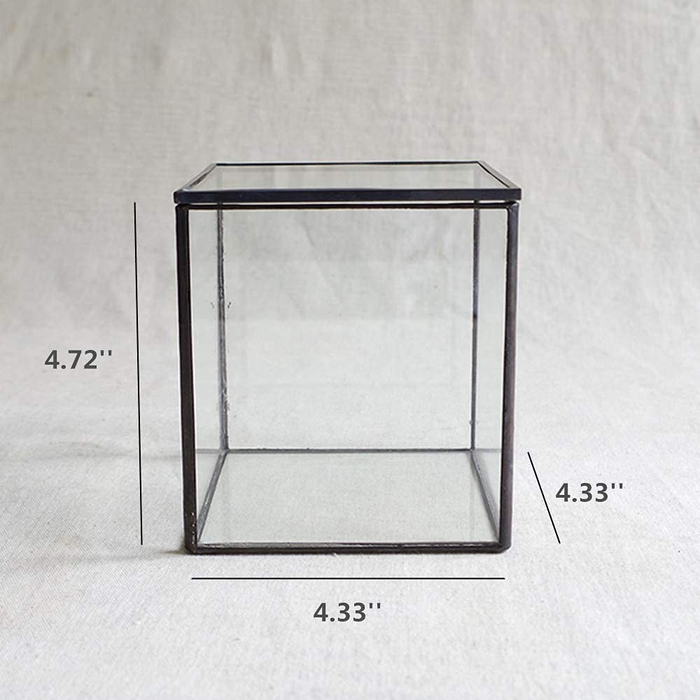 Small square glass terrarium by Libproqia featuring geometric clear design, ideal for indoor plant displays.
