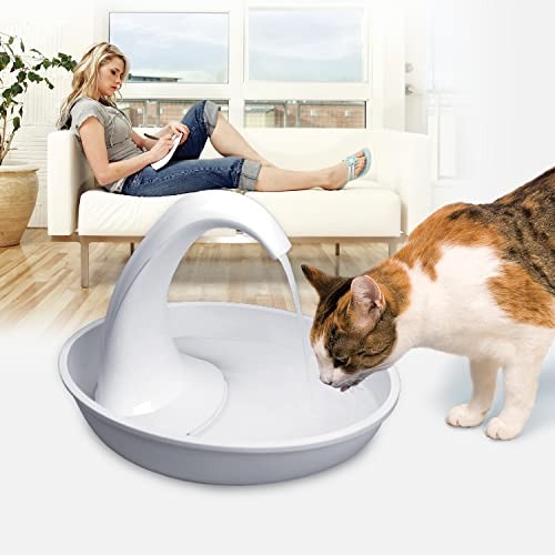 Pioneer Pet Swan pet drinking fountain for cats and dogs, 80oz capacity, with flowing water and sleek white design.