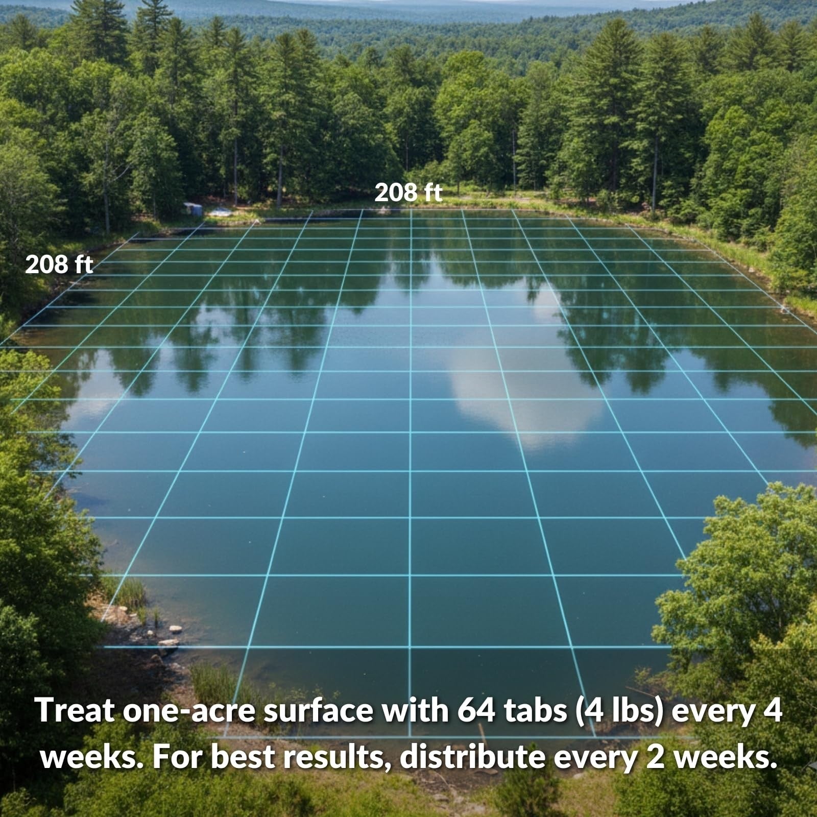 Ultraclear Pond Muck Remover Tablets, 32-count, 2 lbs, showing tablets next to a pond for algae and sludge treatment.