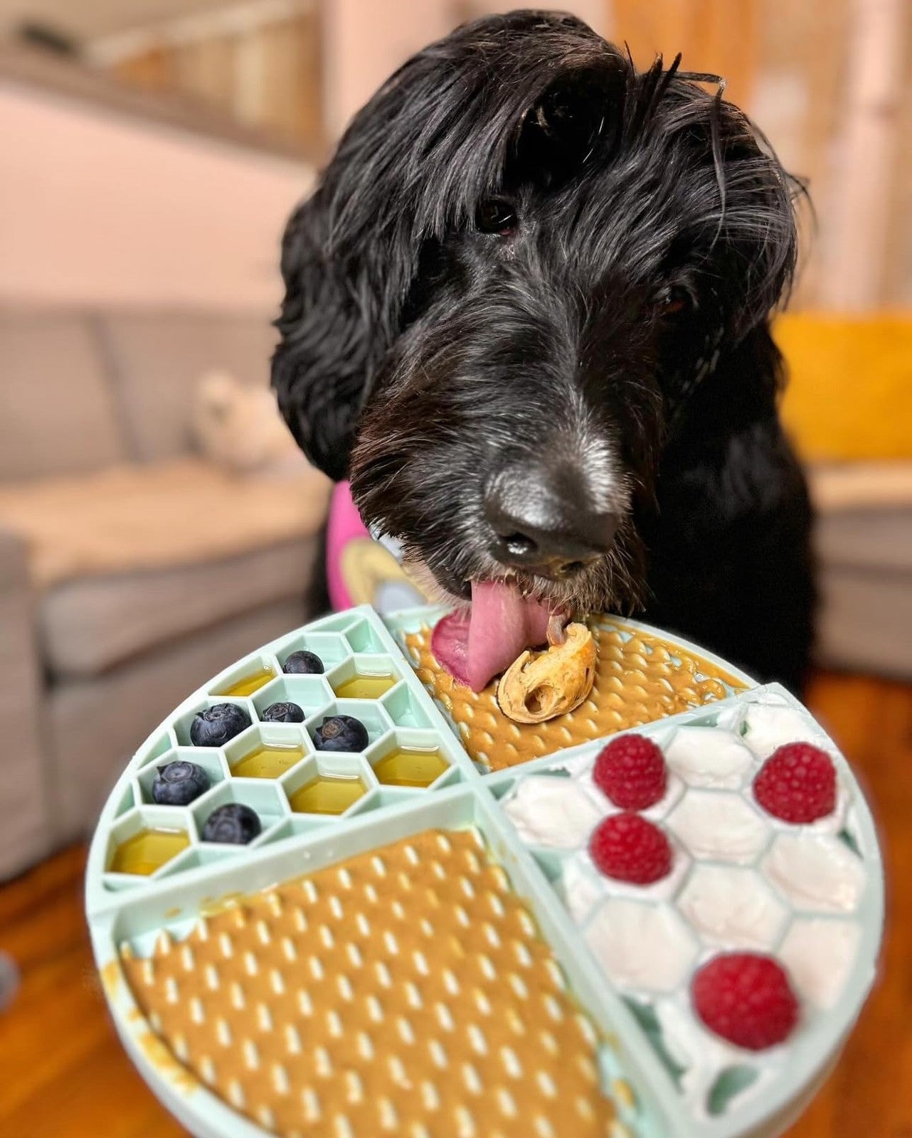 BUDDY BUDDER Superberry Snoot and Pumpkin Pup blue dog enrichment mat combo, featuring colorful textured mats for canine play and stimulation.