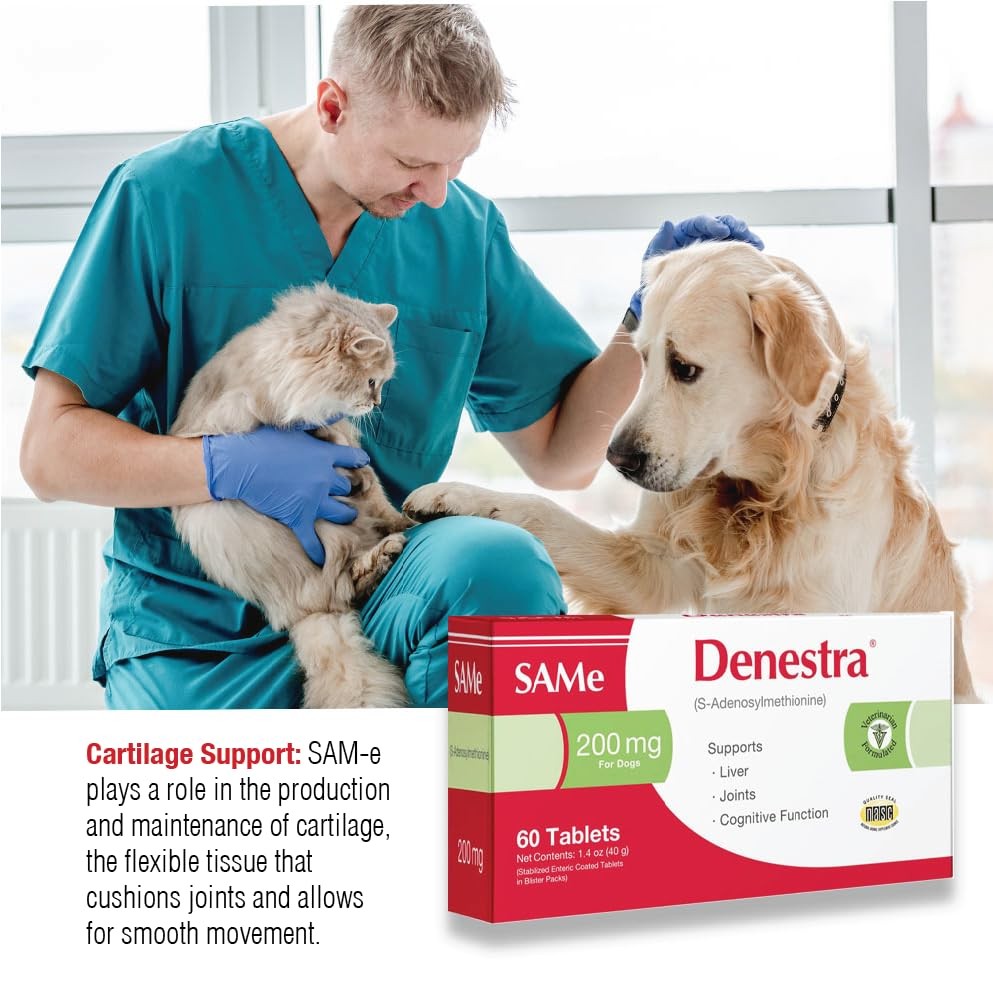 Denestra Liver and joint supplement for dogs featuring S-Adenosyl-L-Methionine, shown in a bottle with supplement tablets.