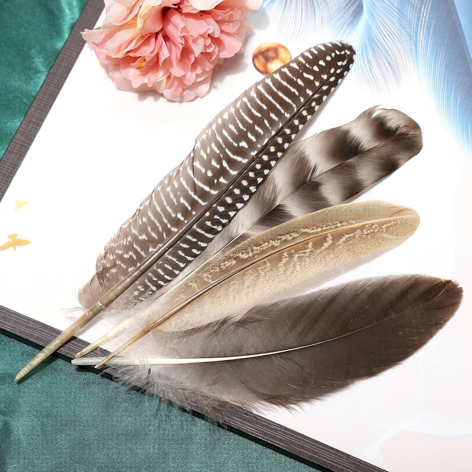 THARAHT natural spotted guinea fowl wing feathers, 6-8 inches, showing black and white speckled pattern on individual feathers.