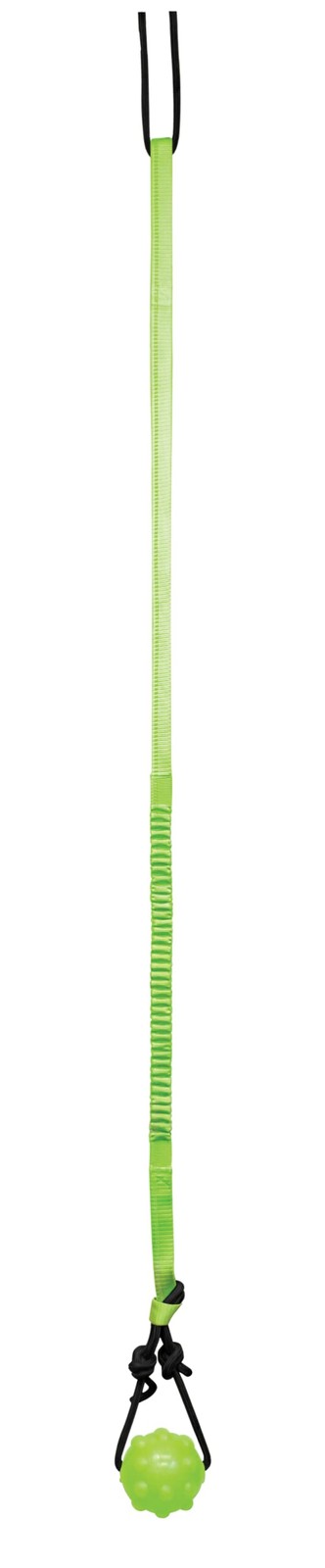 Jolly Pets Green Tree Tugger dog toy with durable rope and handle, designed for interactive tug-of-war play with dogs.