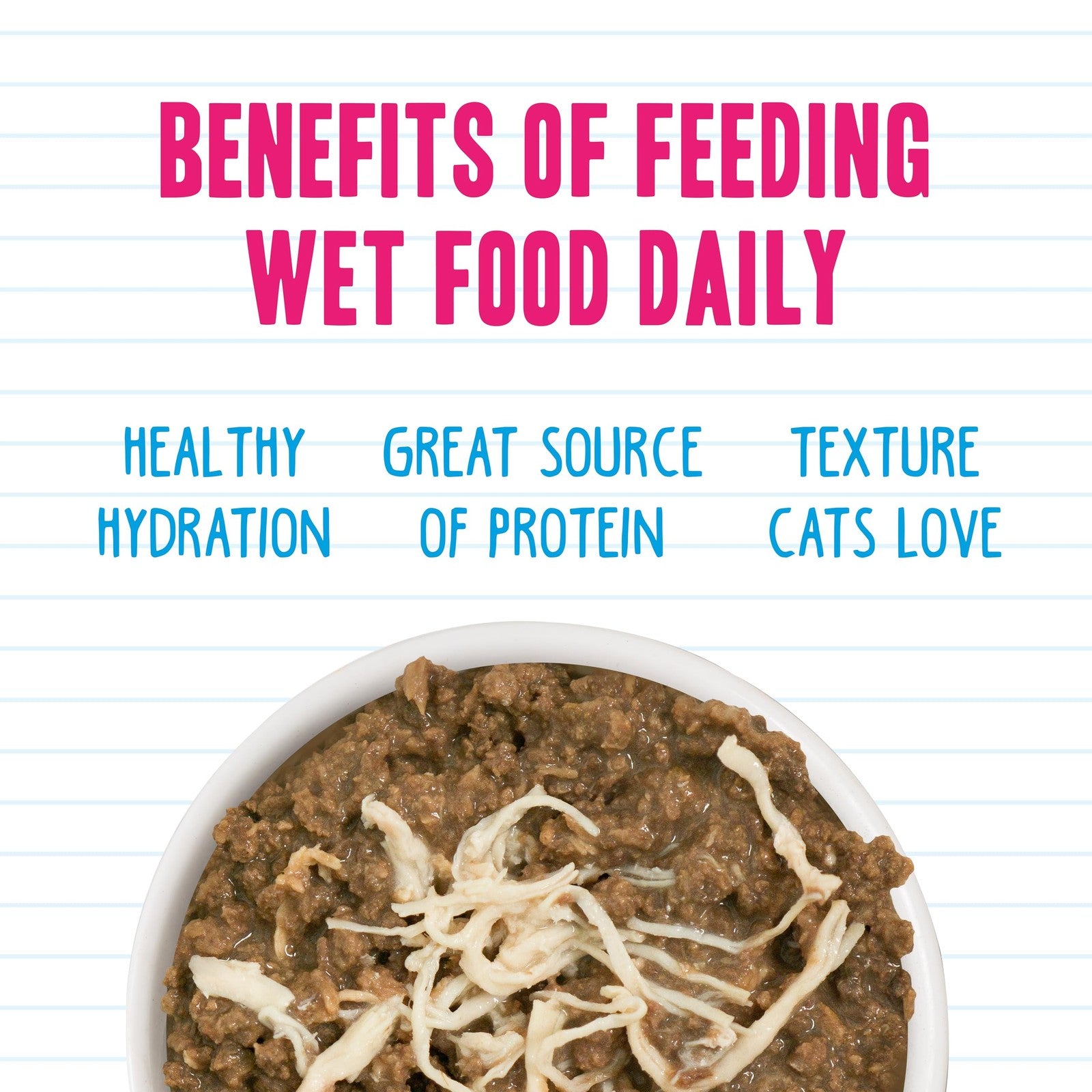 Weruva BFF Minced Wet Cat Food Big Feline Feast Variety Pack 10oz cans, 12-pack, showcasing colorful canned cat food with labels visible.