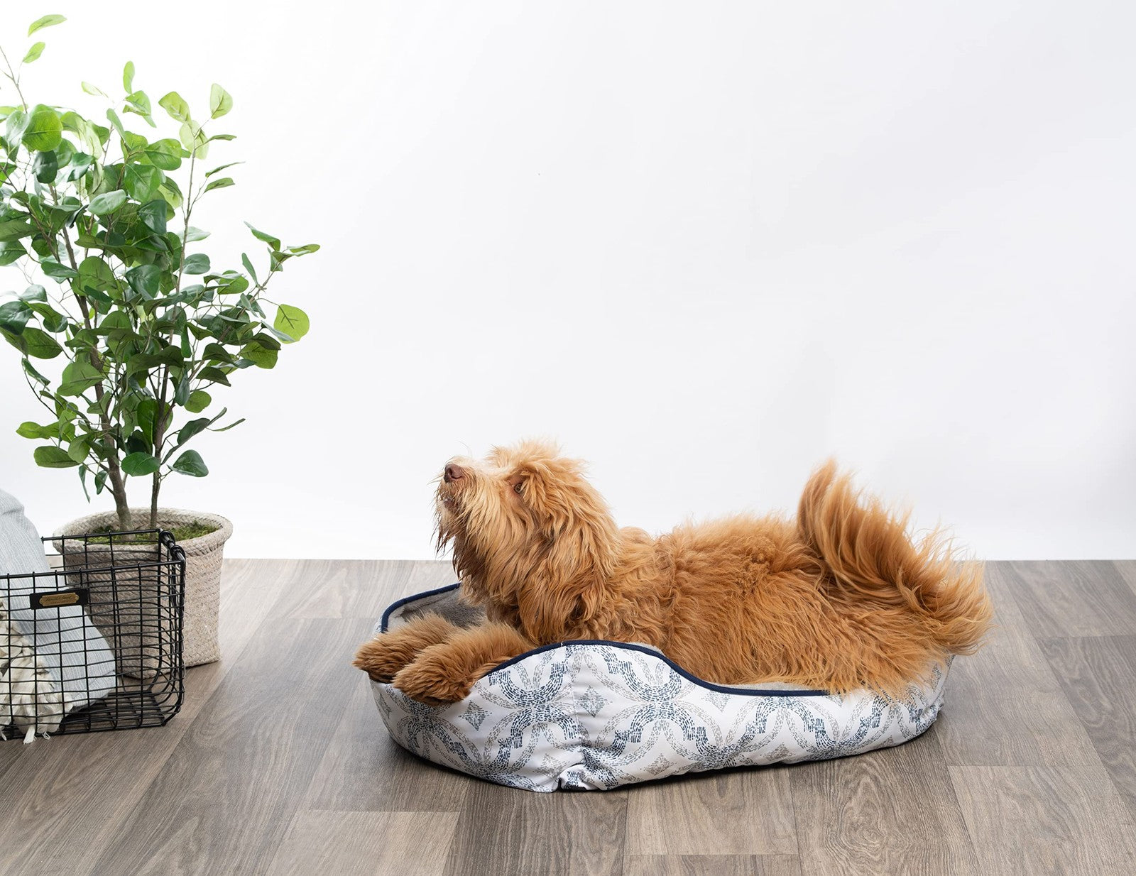 Modern Threads luxury dog bed with oxford printed plush fabric, cozy cuddler design for small to medium-sized dogs.