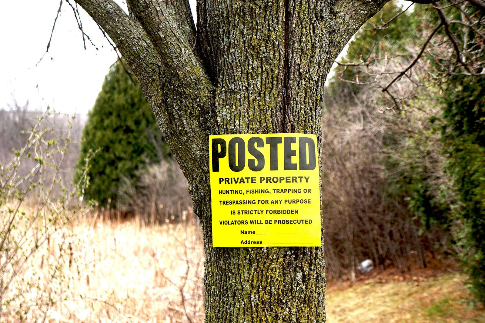Yellow private property sign by Wristco, 11x11 inches, posted outdoor signage for warning or marking private areas.