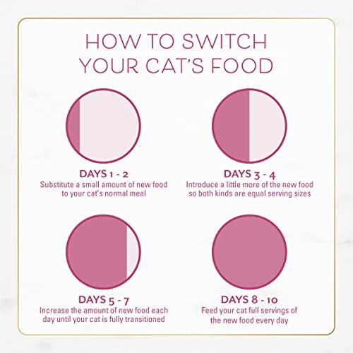 Bag of Fancy Feast dry cat food with filet mignon, seafood, and shrimp flavors, large size for feline nutrition.