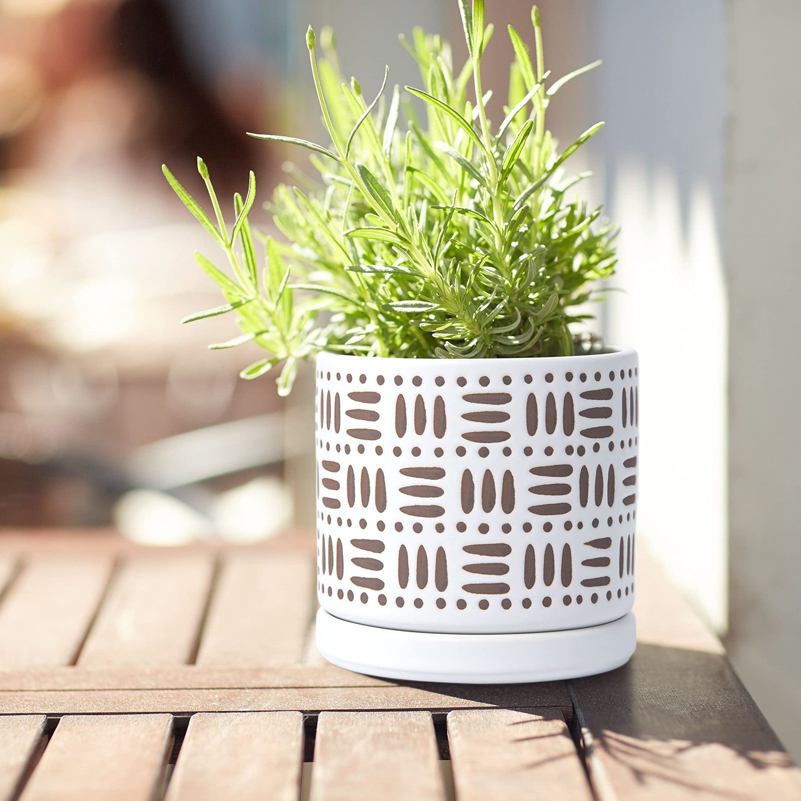 D'vine Dev set of 2 4.5-inch ceramic planter pots with drainage holes and saucers for indoor gardening.