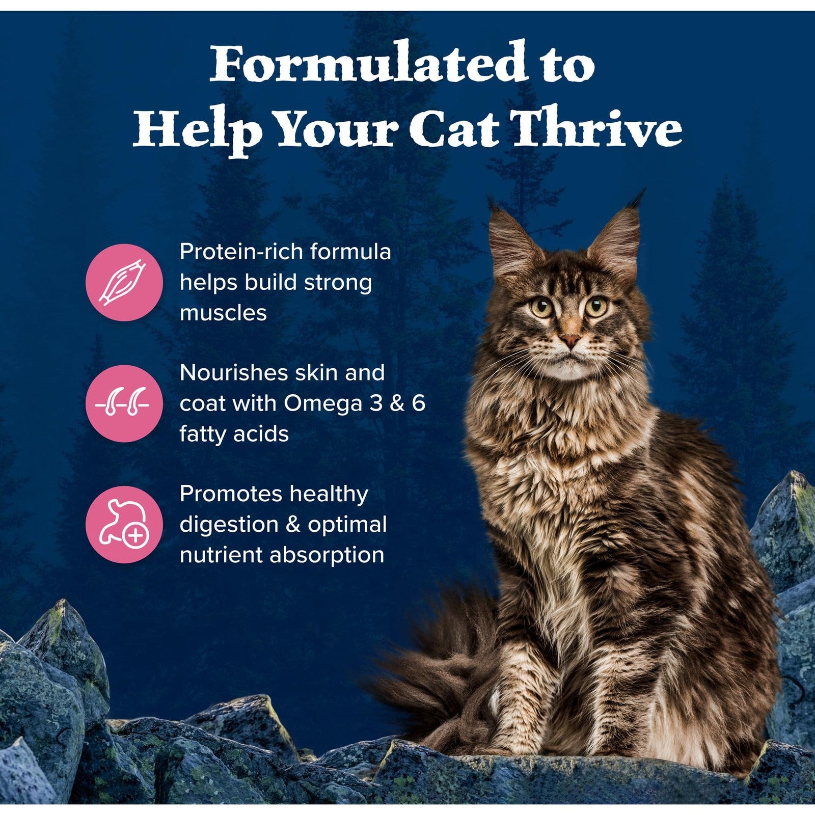 Blue Buffalo Wilderness grain-free dry cat food with salmon, high protein formula in a blue bag, suitable for cats.