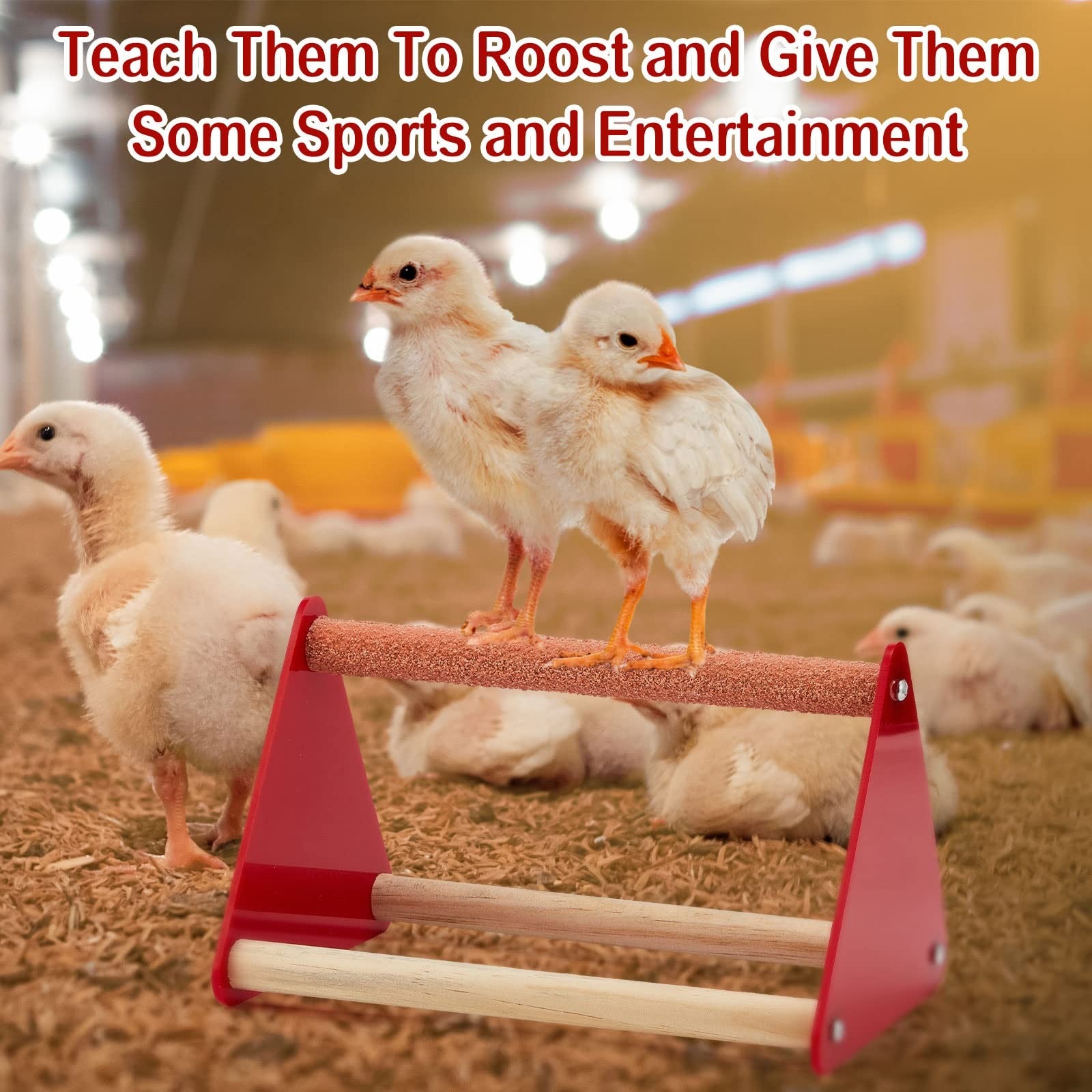 Patelai 12-piece chick feeder and waterer kit with mini perch, including plastic feeding supplies for young chickens.