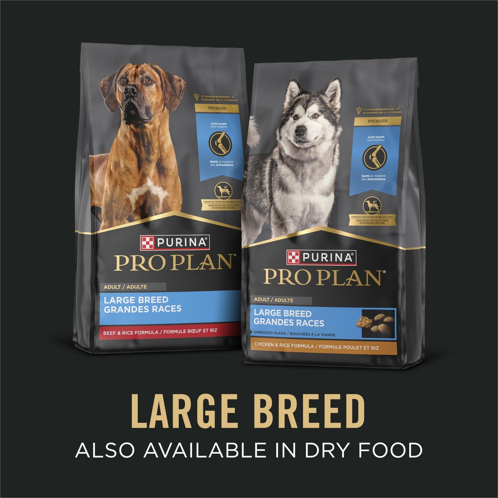 Purina Pro Plan large breed beef and rice gravy wet dog food bowl with portions of the moist dog food for large dogs
