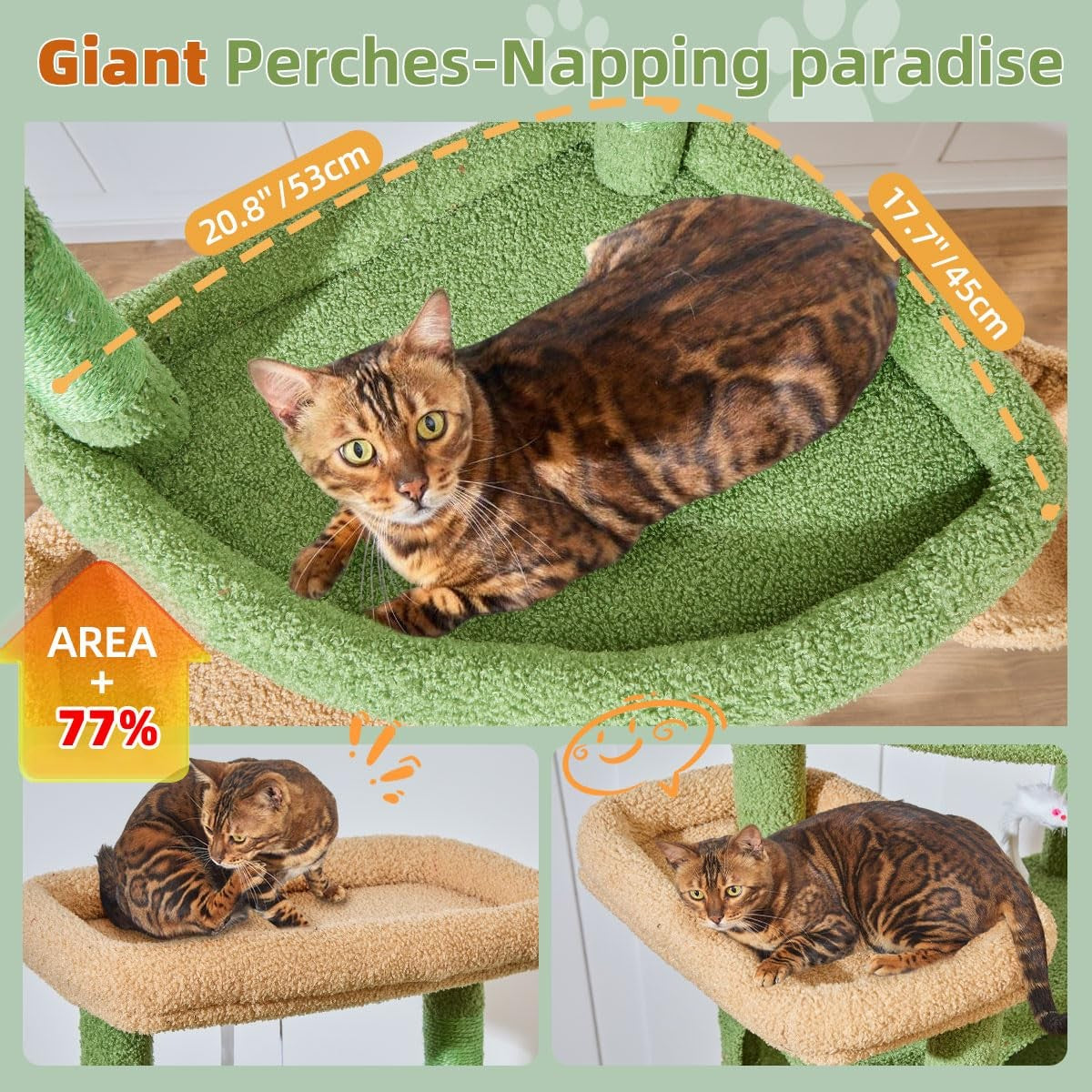 Taoqimiao 71-inch multi-level cat tree with three large perches for big cats up to 20 lbs, featuring natural wood finish
