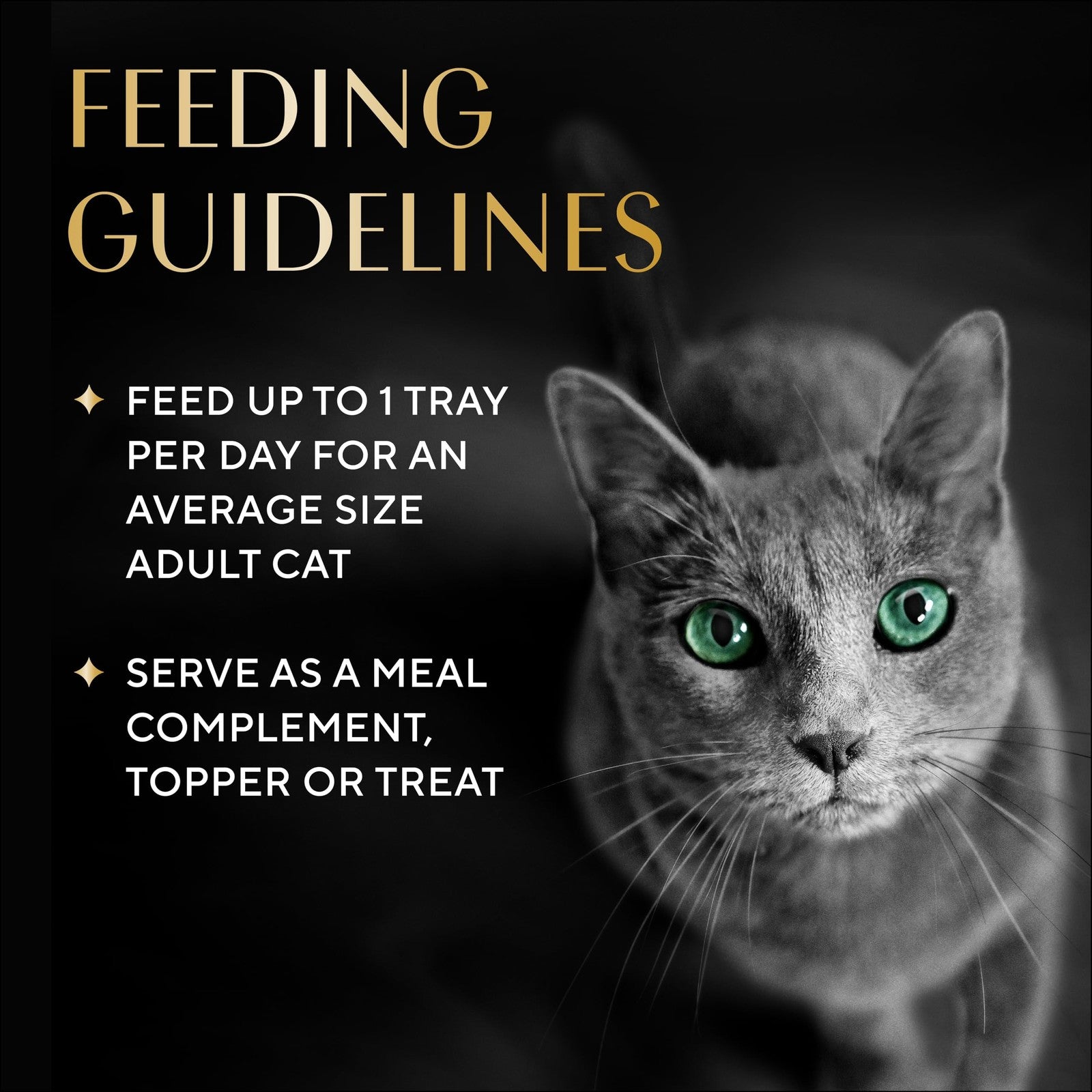 Sheba Bisque lickable cat treats and food toppers in chicken, tuna, and salmon flavors, featuring a cat enjoying the treats.