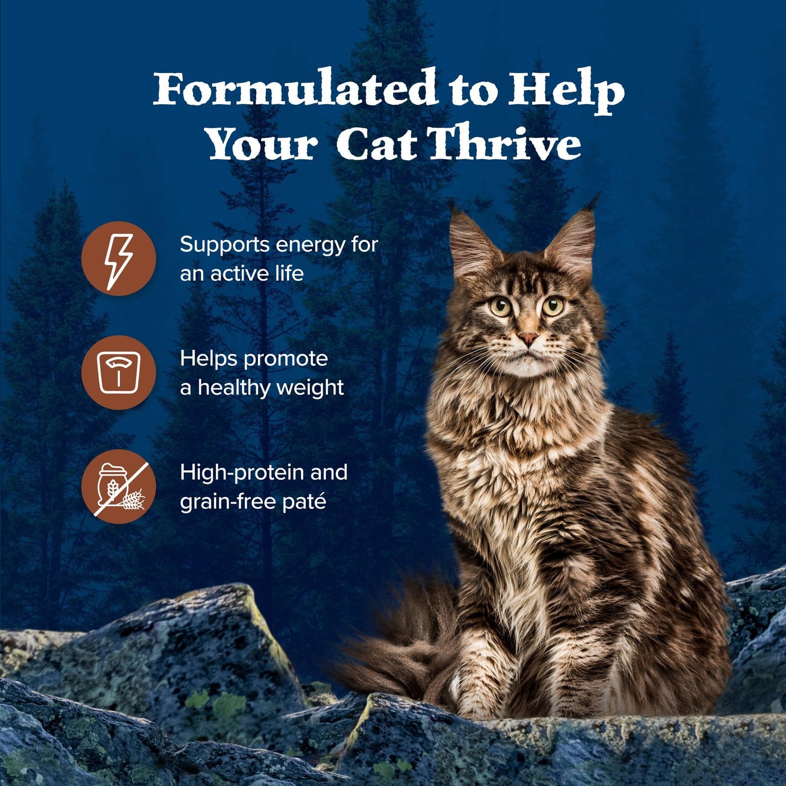 Cans of Blue Buffalo Wilderness Grain-Free Wet Cat Food for adults, featuring turkey flavor, with a blue and white label design.