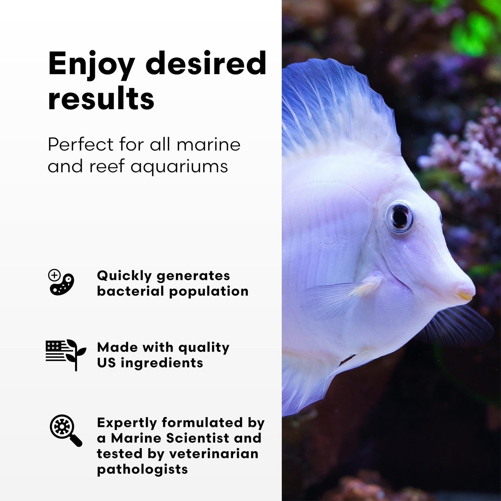 Continuum Aquatics BacterGen M Marine Nitrifying Bacteria waste reducer bottle for aquarium water treatment.