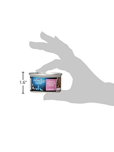Cans of Purina Pro Plan Wet Kitten Food Pate Salmon and Ocean Fish Entree, 24-pack, 3oz each, with colorful packaging.