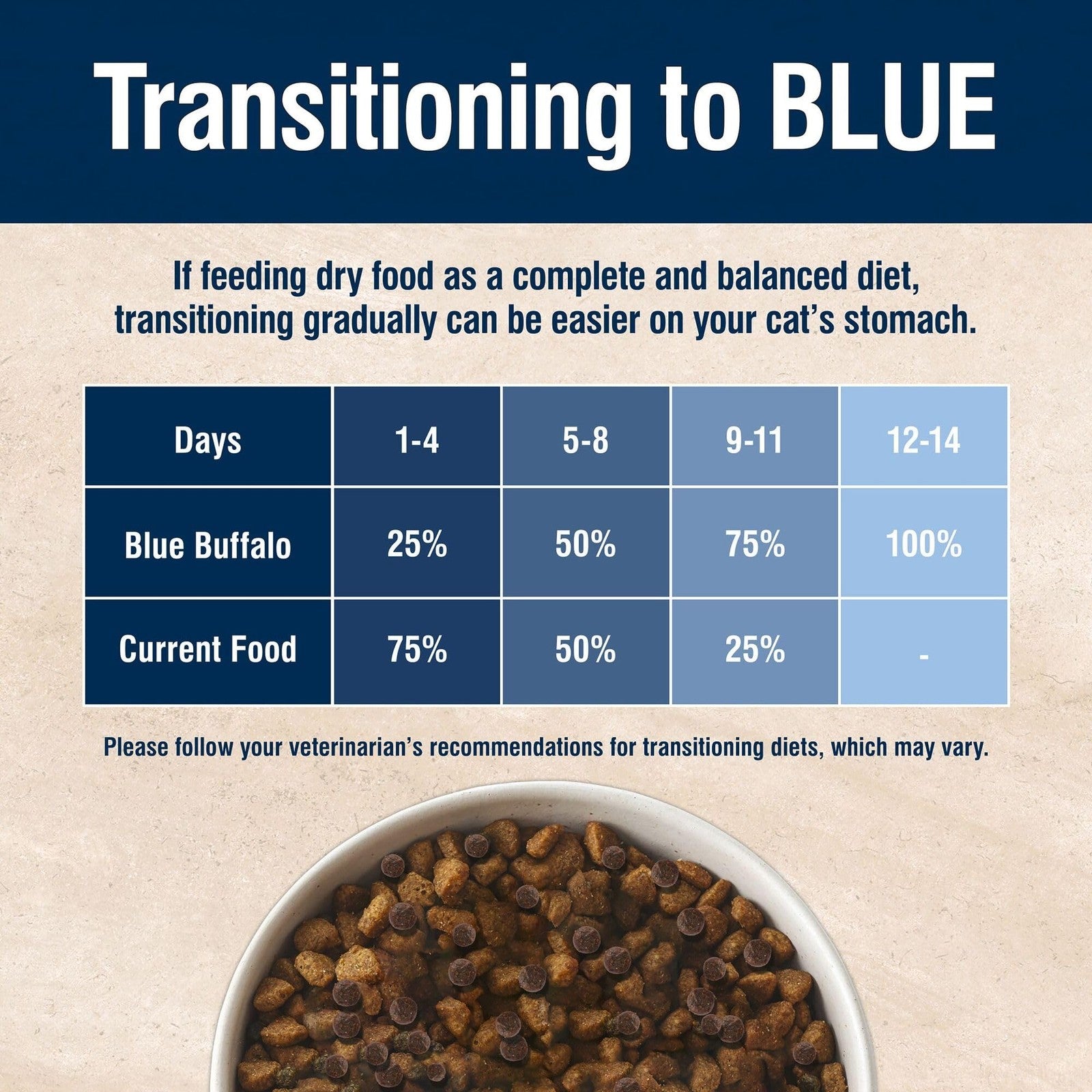 Blue Buffalo True Solutions Skin Coat Care natural dry cat food for adult cats, featuring a bag with healthy ingredients and product branding.