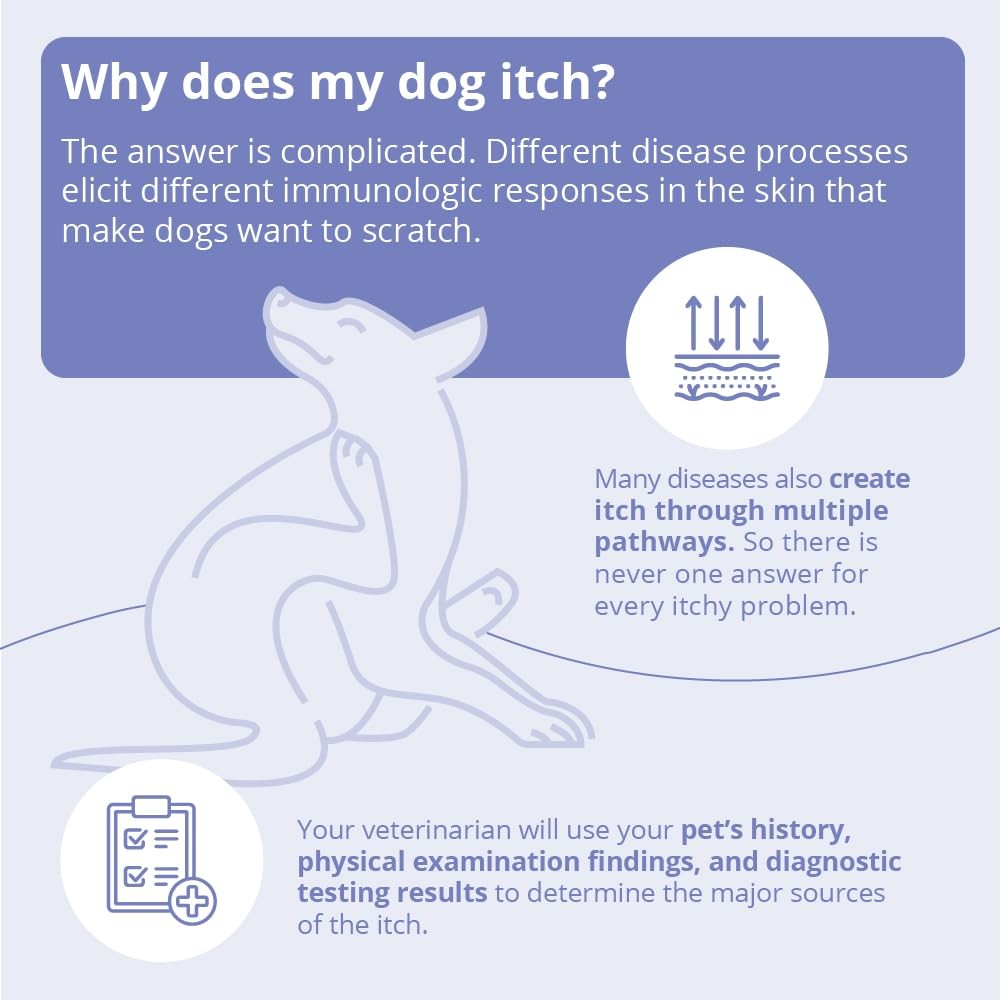 MiconaHex+Triz Mousse for dogs, cats, and horses in a 7.1 oz bottle, showing the foam mousse applicator on a pet’s coat.