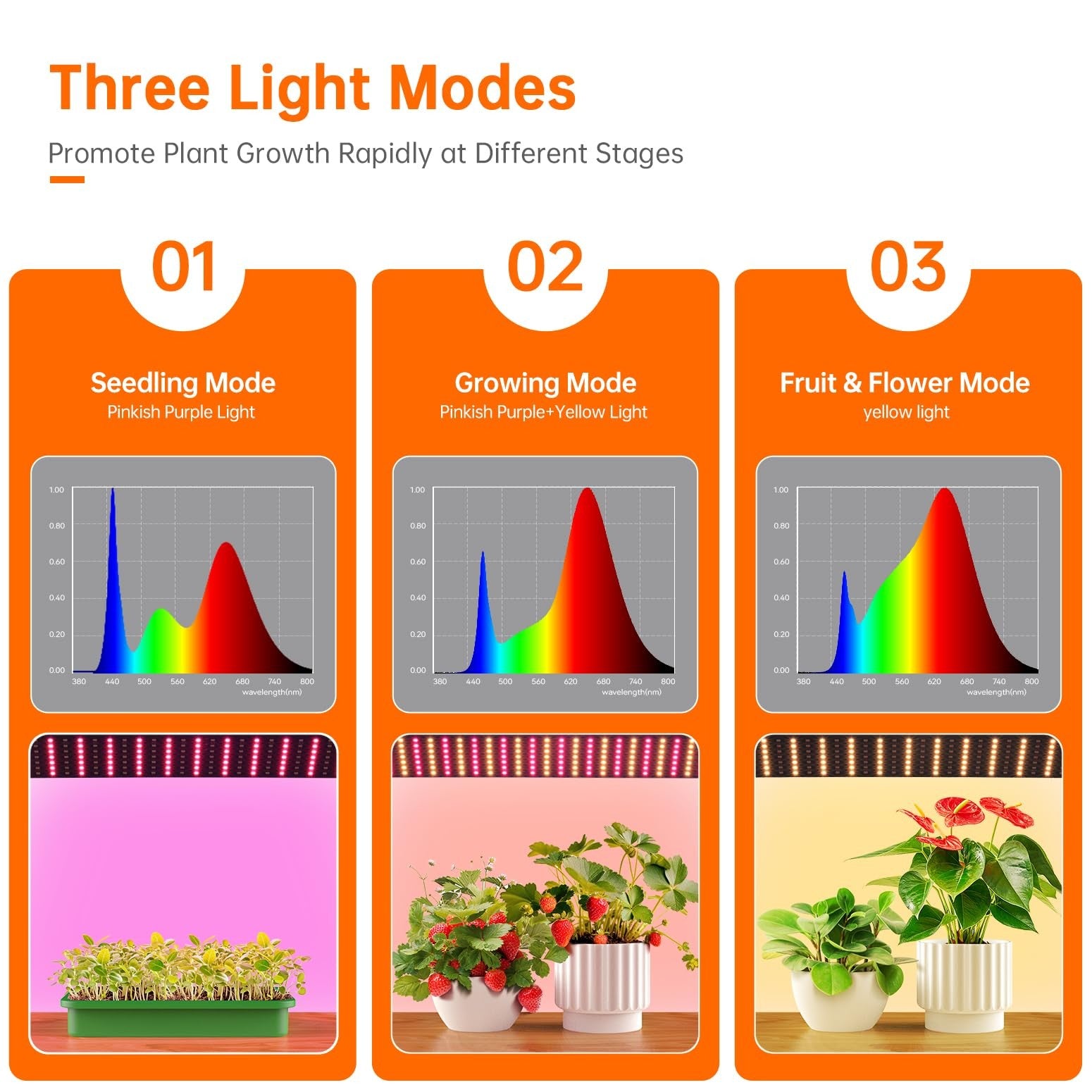 Bstrip Mini Indoor Greenhouse with LED grow lights on a desktop, featuring seed starter trays for indoor gardening.