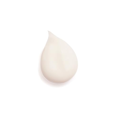 Sisley Paris Sisleya L'Integral Anti-Age Eye and Lip Contour - Product Imagery