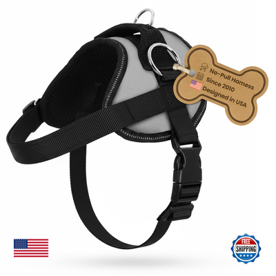 Gray Bark Appeal no-pull dog harness for small to medium pets, adjustable with secure straps and metal buckle.