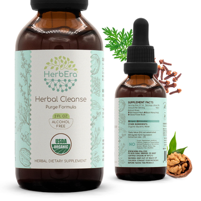 HerbEra Organic Herbal Cleanse tincture bottle with herbal ingredients and dropper, designed for detox and cleansing.