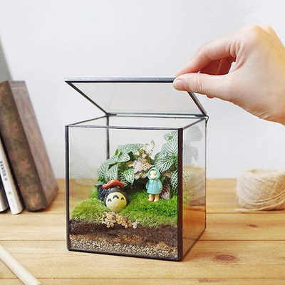 Small square glass terrarium by Libproqia, geometric clear design for indoor display and decorative plant arrangements.