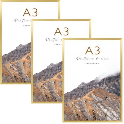Frametory A3 gold aluminum poster frame with acrylic front, modern thin design for 11.7x16.5 inch artwork
