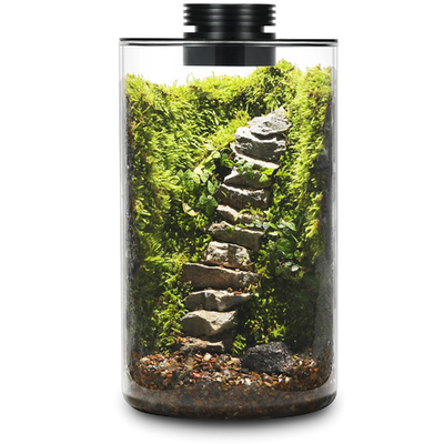AREPK desktop glass plant terrarium with grow light, 9.8 inches tall and 5.9 inches deep, ideal for succulents and small plants.