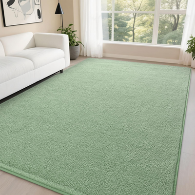 DweIke 5x7 light green modern wool coral fleece area rug with non-slip backing for living room and bedroom