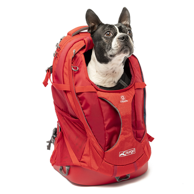 Kurgo G-Train dog carrier backpack showing a comfortable, adjustable pet travel bag with mesh windows for ventilation.