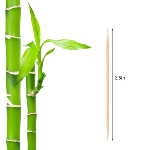 1000 Count Bamboo Toothpicks - Product Imagery