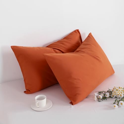 Queen Size Pillowcases Set of 2 | 100% Egyptian Cotton 1000 - Product Imagery
