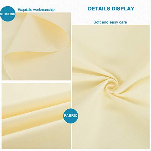 Queen Size Pillowcases Set of 2 | 100% Egyptian Cotton 1000 - Product Imagery