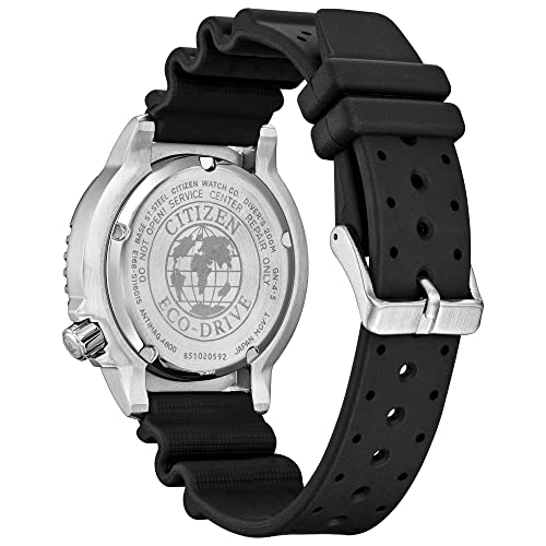 CITIZEN Promaster Dive Eco-Drive Watch, 3-Hand Date, ISO - Product Imagery