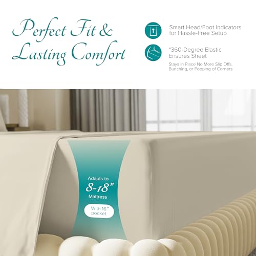 Carressa Linen 100% Egyptian Cotton King Size Sheets Set - 800 - Product Imagery