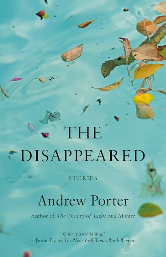 The Disappeared: Stories - Product Imagery