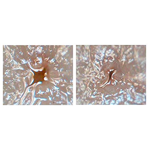 SKINMISO Pore Minimizing Serum for Men & Women, 1.01 fl oz (30ml) - Product Imagery