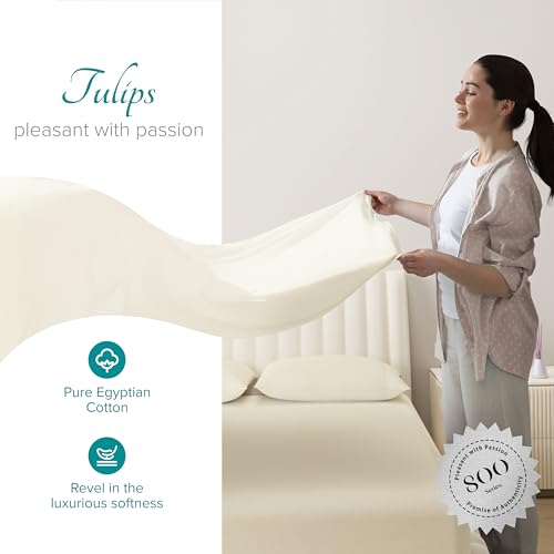 Carressa Linen 100% Egyptian Cotton King Size Sheets Set - 800 - Product Imagery