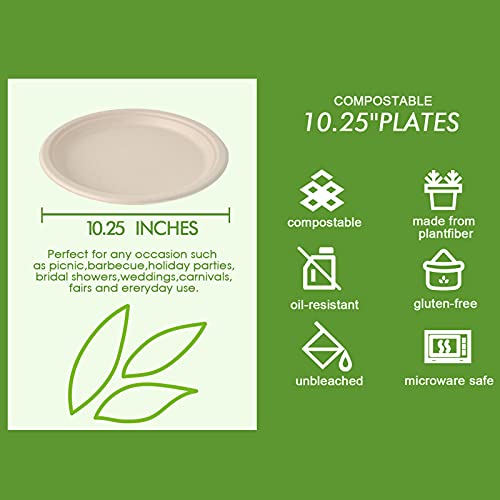 Vplus 150 Pack Compostable Disposable Paper Plates 10 inch Super - Product Imagery