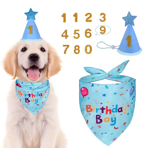 Dog Birthday Bandana Set, Dog Birthday Party Supplies,Dog - Product Imagery