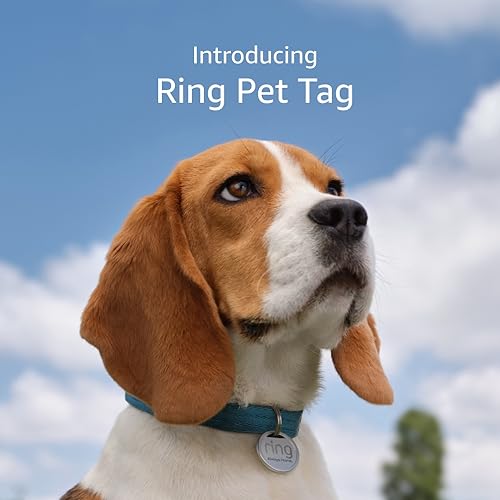 Ring Pet Tag | Easy-to-use tag with QR code | Real-time scan aler - Ring Official Product View 1