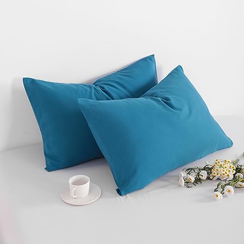 Queen Size Pillowcases Set of 2 | 100% Egyptian Cotton 1000 - Product Imagery