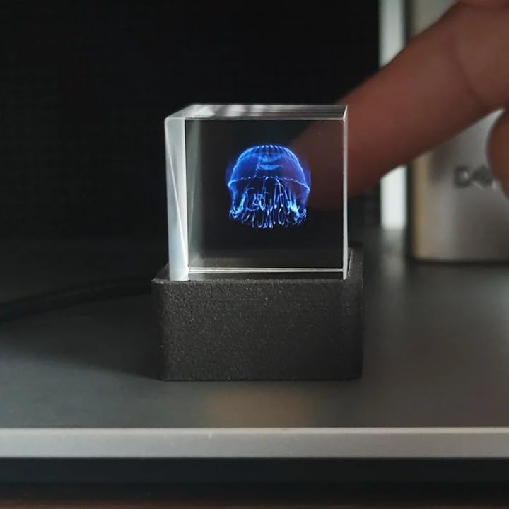HolaCube WiFi Holographic Crystal 3D Photo Display Smart - MLWSHR Official Imagery - 1